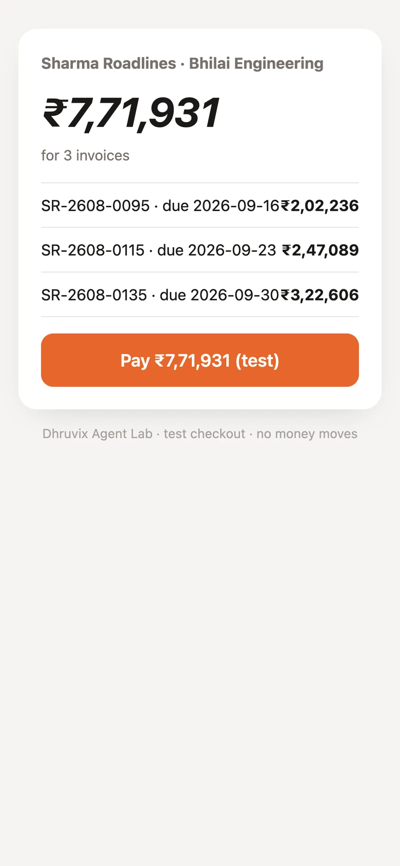 The payment page a customer opens from the link